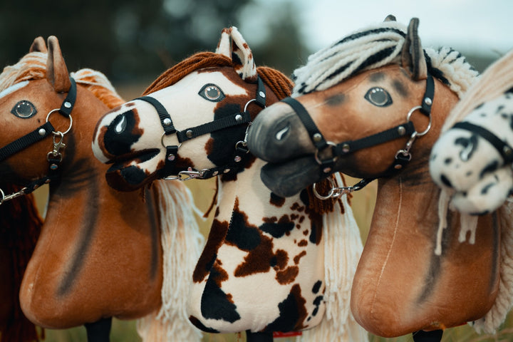 US Hobby Horse Championships 2026: America's Biggest Hobby Horse Event Is Almost Here