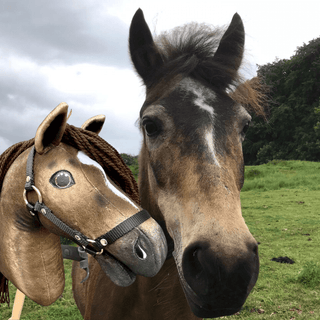 Hobby Horse Koník podle fotografie