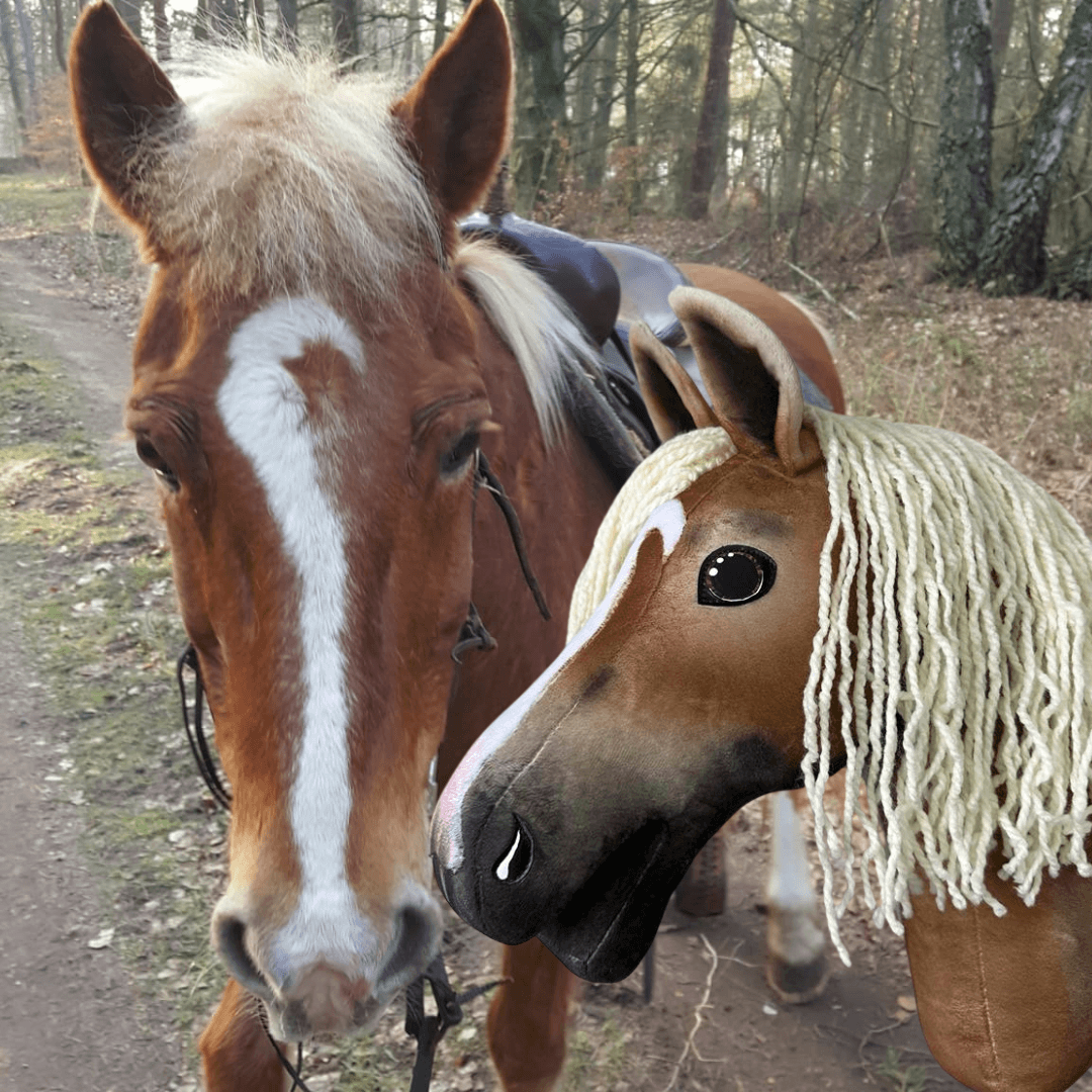 Hnědý kůň s bílou lysinou stojí na lesní cestě vedle zakázkového „Hobby Horse Koník podle fotografie“ od Hobby Horse LarDen v odpovídajících barvách a s přízovou hřívou. V pozadí jsou stromy a hliněná cesta.