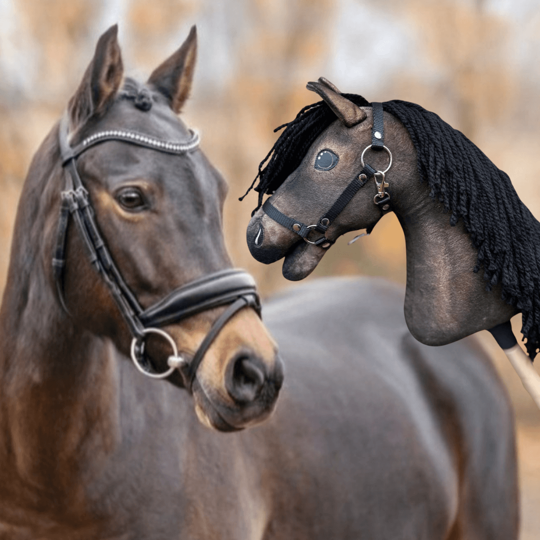 Hobby Horse Koník podle fotografie od Hobby Horse LarDen vedle skutečného hnědého koně s uzdečkou; zakázkový koník s černou přízovou hřívou a knoflíkovýma očima, oba venku čelem k sobě.