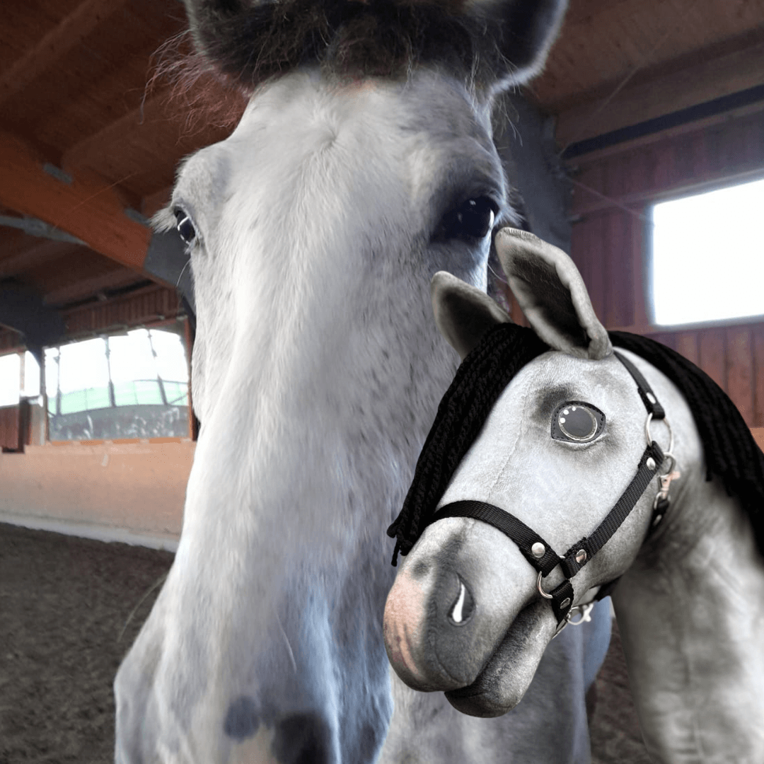 Bílý kůň uvnitř stojí vedle zakázkového Hobby Horse LarDen „Hobby Horse Koník podle fotografie“, oba s podobným zbarvením a černými uzdečkami, čelem ke kameře.