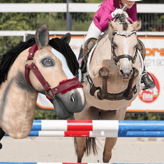 Hobby Horse Koník podle fotografie