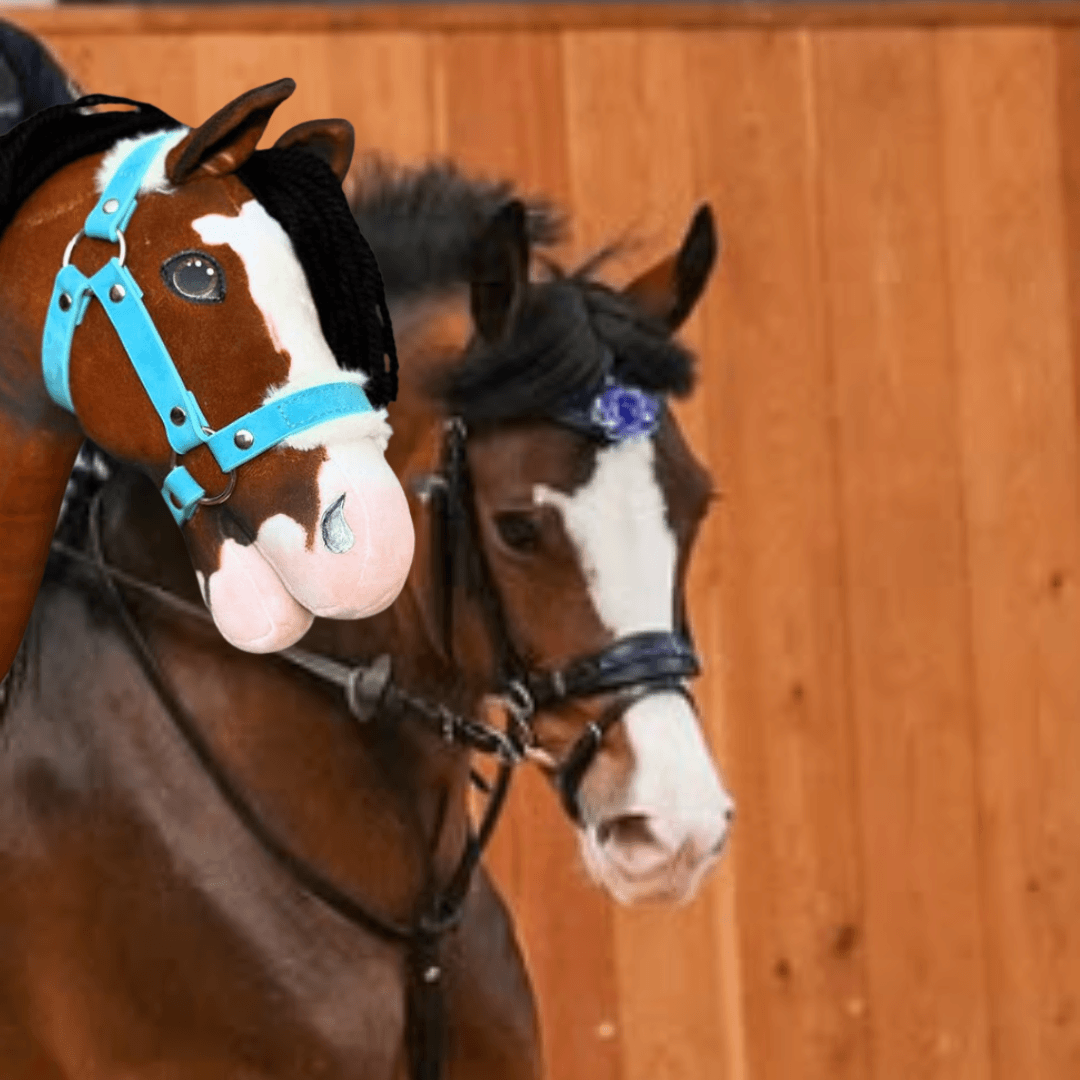 Dva koníci Hobby Horse LarDen „Hobby Horse Koník podle fotografie“ s hnědobílým zbarvením, modrou a černou uzdečkou a černými hřívami stojí uvnitř u dřevěné stěny. Jeden je personalizovaný modrou květinou v hřívě.