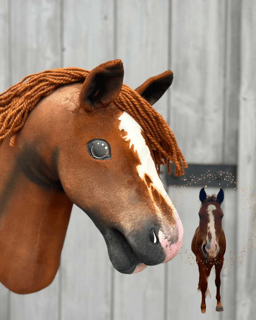 Hobby Horse Koník podle fotografie od Hobby Horse LarDen v popředí, přizpůsobený podle skutečného koně na malé fotografii v pozadí, na pozadí dřevěné stěny.