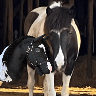 Hobby Horse Koník podle fotografie