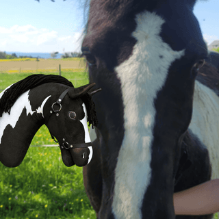Hobby Horse Koník podle fotografie