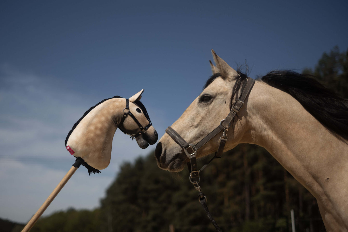 Skutečný kůň s ohlávkou se venku dotýká nosem béžového Hobby Horse LarDen „Hobby Horse Koník podle fotografie“; v pozadí jsou stromy a modrá obloha.