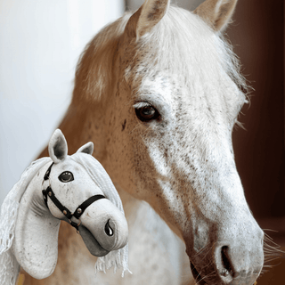 Hobby Horse Koník podle fotografie