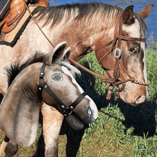 Hobby Horse Koník podle fotografie