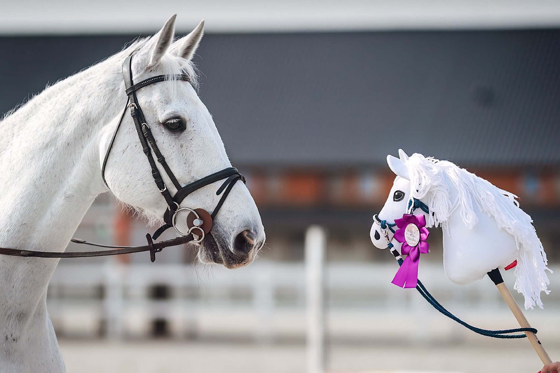 Hobby Horse Koník podle fotografie