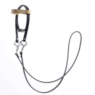 Kompletní uzdečka černá se zlatou čelenkou od Hobby Horse LarDen s kovovými přezkami, kroužky a smyčkovou otěží na obou stranách, izolovaná na bílém pozadí.