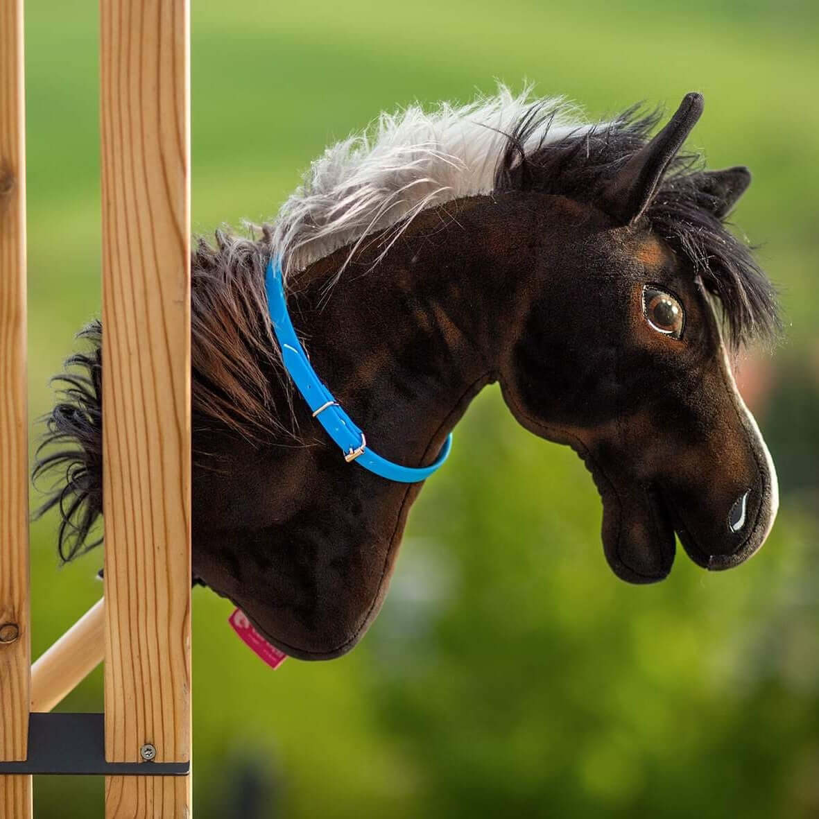 Detail černé hlavy Hobby Horse s modrou ohlávkou a bílou hřívou připevněné k dřevěné konstrukci na rozostřeném zeleném venkovním pozadí – perfektní pro nadšence do Hobby Horsing.