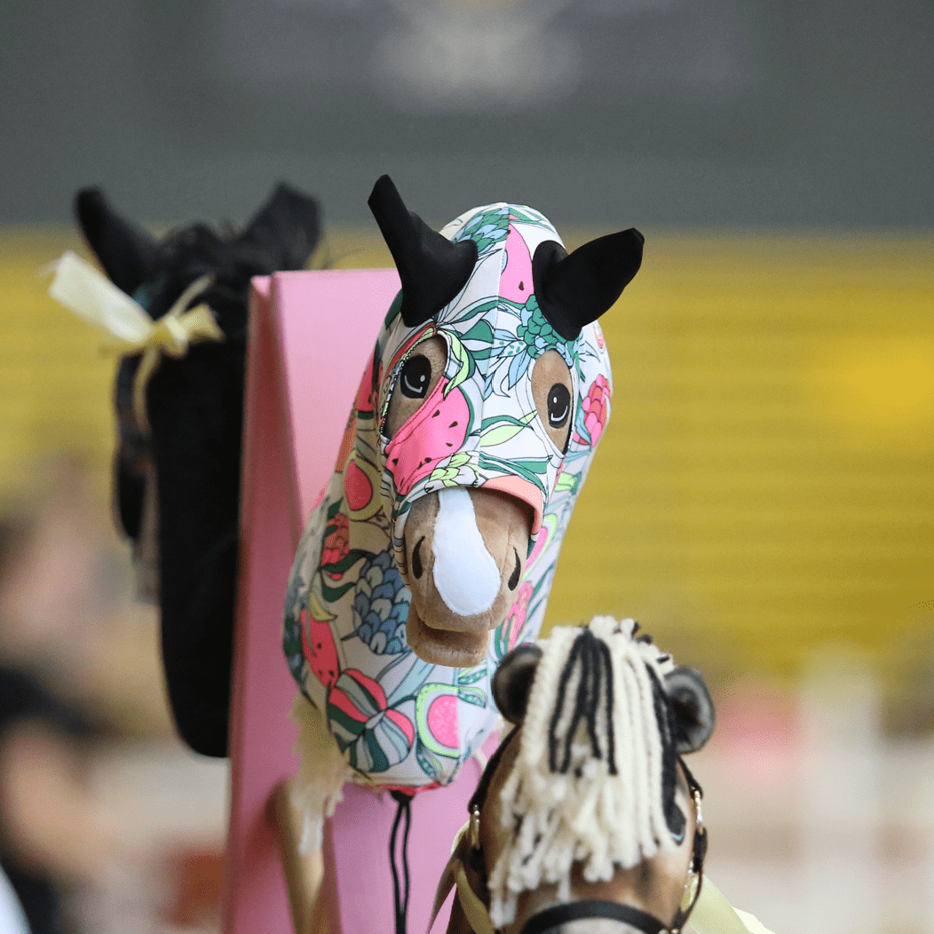 Scéna Hobby Horsing zobrazuje Hobby Horse s barevným květinovým látkovým návlekem na hlavě a černými ušima v popředí, obklopeného dalšími Hobby Horse rozostřenými v pozadí.