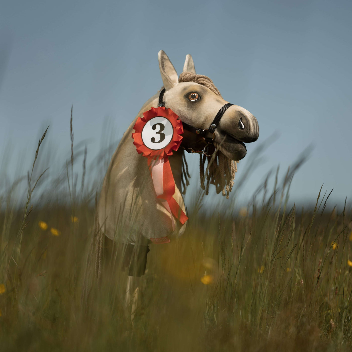 Oblíbenec pro Hobby Horsing, tento Hobby Horse se šedou hlavou a černou uzdečkou stojí ve vysoké trávě a má červenobílou stuhu s číslem 3. Pozadí tvoří rozmazané pole pod jasně modrou oblohou.