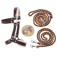 Set Perfect Combination Brown od Hobby Horse LarDen obsahuje hnědo-béžovou ohlávku s kožešinovým polstrováním, dvě pletená hnědo-žlutá vodítka s kovovými karabinami a kulatý odznak Loyal s kresleným koněm – ideální doplňky pro Hobby Horse.